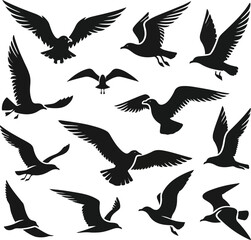 Set of seagull silhouette vectors