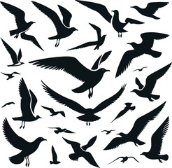 Set of seagull silhouette vectors