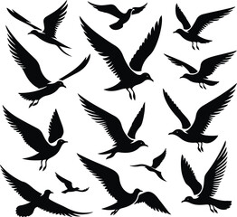 Set of seagull silhouette vectors
