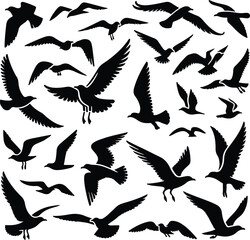 Set of seagull silhouette vectors