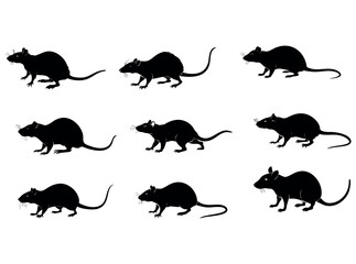 Silhouetted illustration of a rat. Bold black and white illustration of a rat, rat, rats, silhouette, black and white, black, white, profile, animal, set of nine black silhouettes of rats in various p
