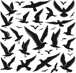 Set of seagull silhouette vectors