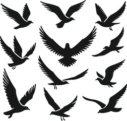 Set of seagull silhouette vectors