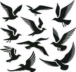 Set of seagull silhouette vectors