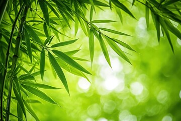 Naklejka premium Lush green bamboo leaves in a natural environment.