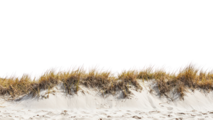 PNG Beach sand dune nature grass environment.