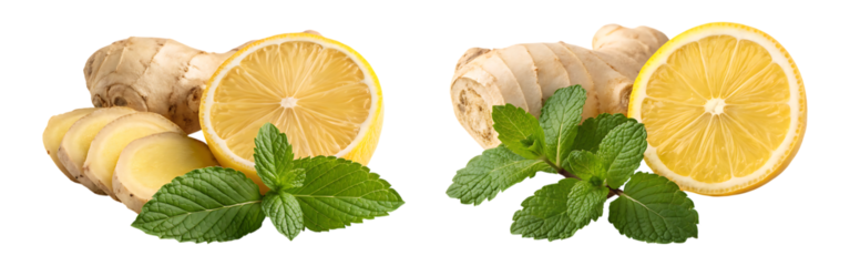 Fresh ginger, lemon and mint arrangement on transparent background