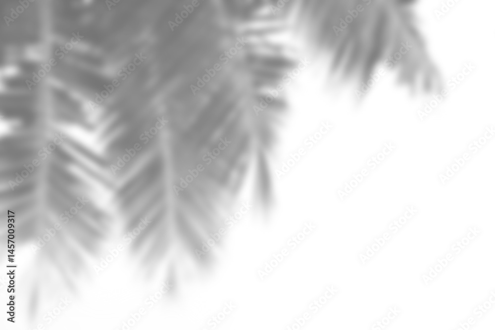 Leinwandbilder leaf shadow overlay effect mock up creates natural and realistic look for your design presentation w