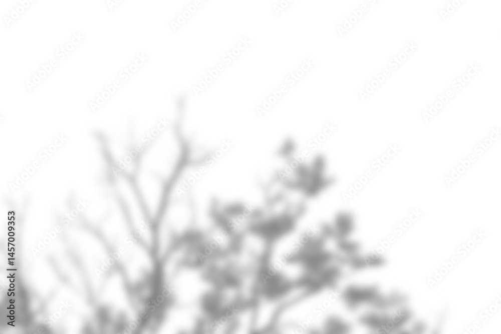 Fototapete leaf shadow overlay effect mock up creates natural and soft atmosphere for your design presentation 