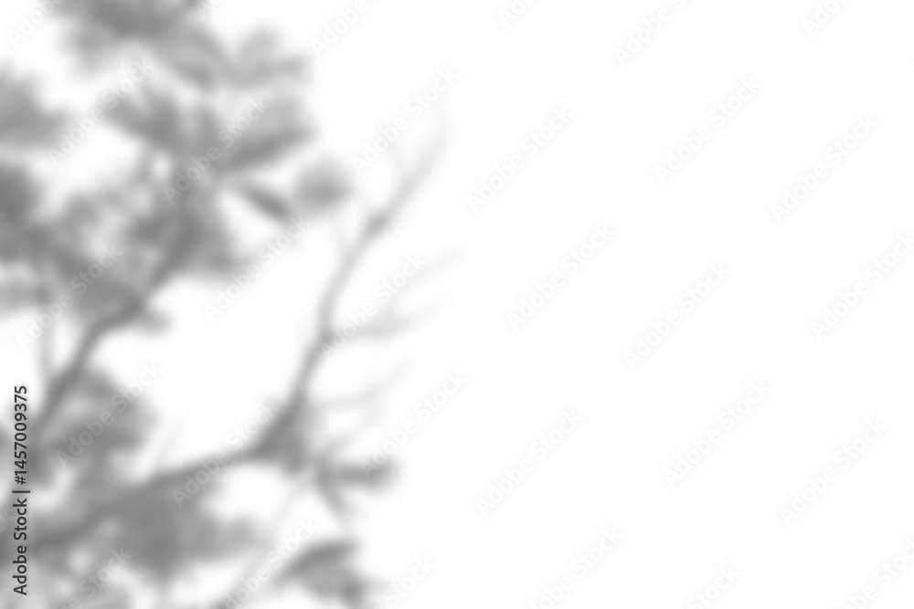 Poster Leaf shadow overlay effect mock up creates natural and soft atmosphere perfect for design presentations or background mockups with realistic touch