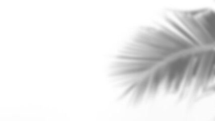 Leaf shadow overlay effect mock up creates soft natural atmosphere with blurred palm leaf detail and light background perfect for presentation or design projects