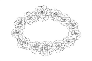 Vector Marigold flower head oval wreath with copy space for text. Monochrome blooming tagetes flowers etching drawing. Floral border for Diwali decorations, Day of the Dead ofrendas, festival posters