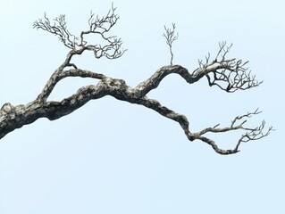 A starkly beautiful tree branch stretches across a soft blue sky, its intricate network of bare branches reaching out in a delicate and artistic display.