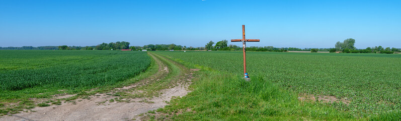 Panoramic view over green fields until the horizon with a devotional cross and a field path in the foreground in the Tullnerfeld in spring sunshine, Austria