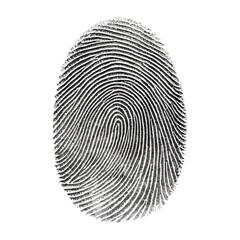 Fingerprint Detail: A high-resolution close-up photograph of a fingerprint, showcasing the intricate details of the whorls and ridges. This image can be used for a variety of applications.