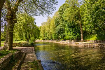 La R&eacute;surgence de la B&egrave;ze en C&ocirc;te-d'Or en France