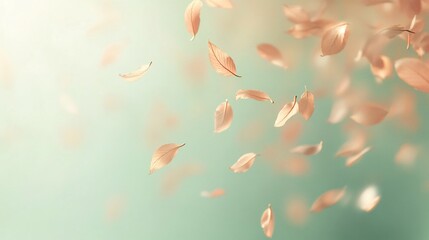 Soft peach petals falling on a teal background.