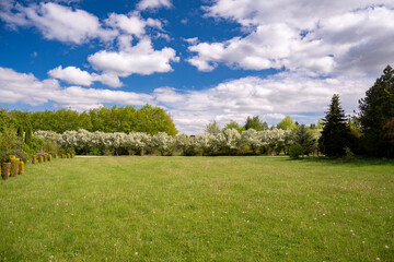 Forest Arboretum in Stradomia Dolna, Poland.