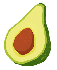 avocado hand drawn drawing isolated illustration