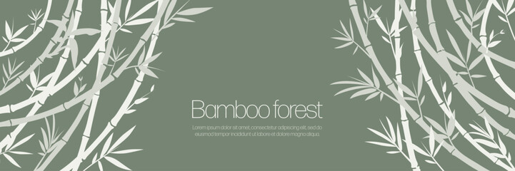 Horizontal bamboo frame on a green background, as a curtain or background for a banner. Vector pattern of white bamboo stems.