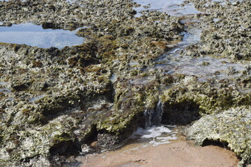 Rocky coastline on the beach