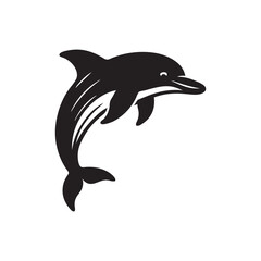 dolphin isolated on white background