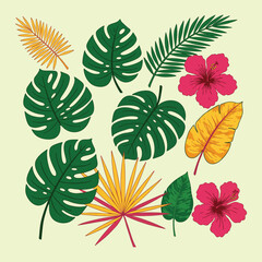 Fototapeta premium Tropical Foliage and Flowers