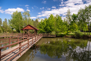 Obraz premium Forest Arboretum in Stradomia Dolna, Poland.
