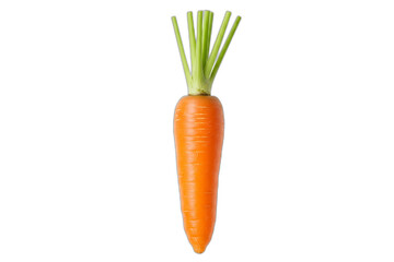 Fresh Baby Carrots: Natural Root Vegetable Produce