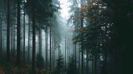 Fototapeta premium inhabited by mythical beast-plant hybrids