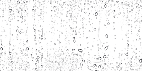 Close up view of water droplets on a transparent surface with a white background creates an abstract natural texture.