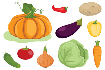 Cartoon vegetables set. Pumpkin, carrot, onion, tomato, cucumber, cabbage, eggplant, pepper, potato on a white background.