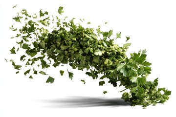 Fototapeta premium Green chopped parsley flying in air, culinary herb on white backdrop
