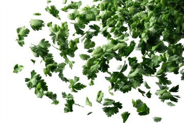 Floating dry parsley flakes scattered and isolated on white background