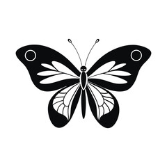 Abstract black silhouette butterfly on white background. Vector illustration