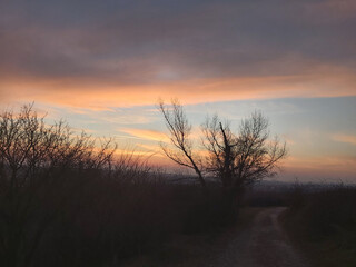 Obraz premium landscape with the image of the sunset in the sky