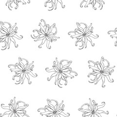 Ylang Ylang flower Botanical seamless pattern Linear Hand drawn sketch, black white graphics element. Vector botanical illustration for design cosmetics, perfumery, package, branding. Medicinal plant