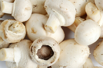 pile of white mushrooms background