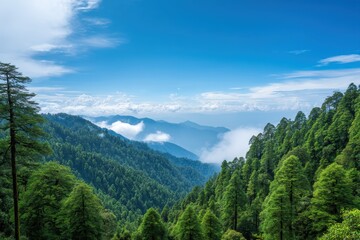 Fototapeta premium A scenic view of lush green mountains with trees and a bright blue sky filled with fluffy white clouds