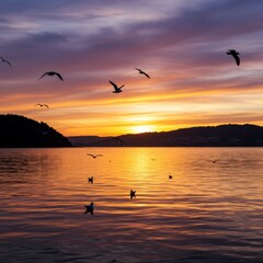 Fototapeta premium Birds in Flight at Sunset Over Calm Ocean Water