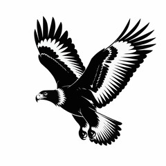 Fototapeta premium Eagle soaring with radiant sun rays