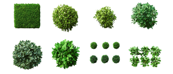 Top view of various green bushes and shrubs with fresh leaves in different shapes