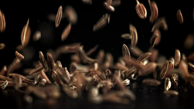 Cumin seeds fall on the table. Filmed on a high-speed camera at 1000 fps. High quality FullHD footage
