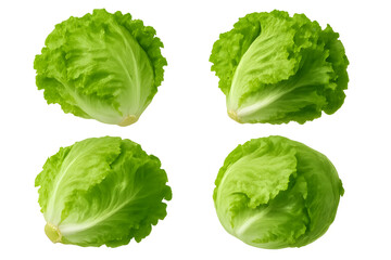 Four heads of lettuce, showcasing their crisp green leaves and rounded shapes. Concept Fresh Produce Display, Crisp Green Leaves, Rounded Shapes, Healthy Eating Choices
