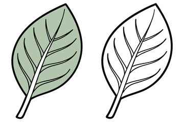 Obraz premium Single light green leaf stands beside an outlined leaf with transparent background