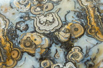 Detailed view showcasing vivid golden and gray swirls patterns