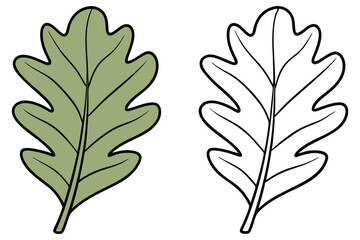 Green cartoon oak leaf appears alongside its black and white line art version, transparent background