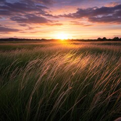Obraz premium Vibrant Sunset Over a Golden Grass Field
