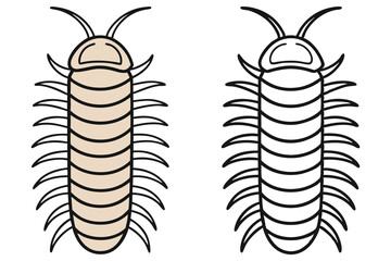 Flat cartoon millipede displays unique segmented body form and has a transparent background