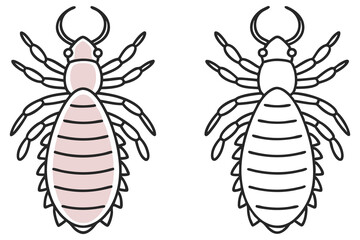 Two outlined lice vectors with a light pink fill are isolated on white ©  Design_ mn
